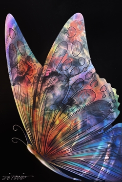 Chris DeRubeis Art title 1 Panel Abstract Butterfly Black 36X24