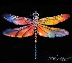 Chris DeRubeisArt titleDragonfly 12X16