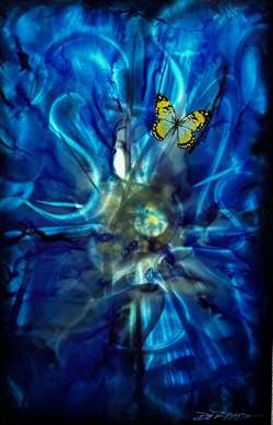 Chris DeRubeisArt titleButterfly Abstract 36X24