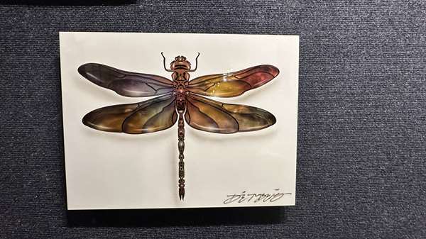 Chris DeRubeisArt titleDragonfly Mini Bg Wt 12X16