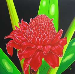 Torch Ginger 12X12 